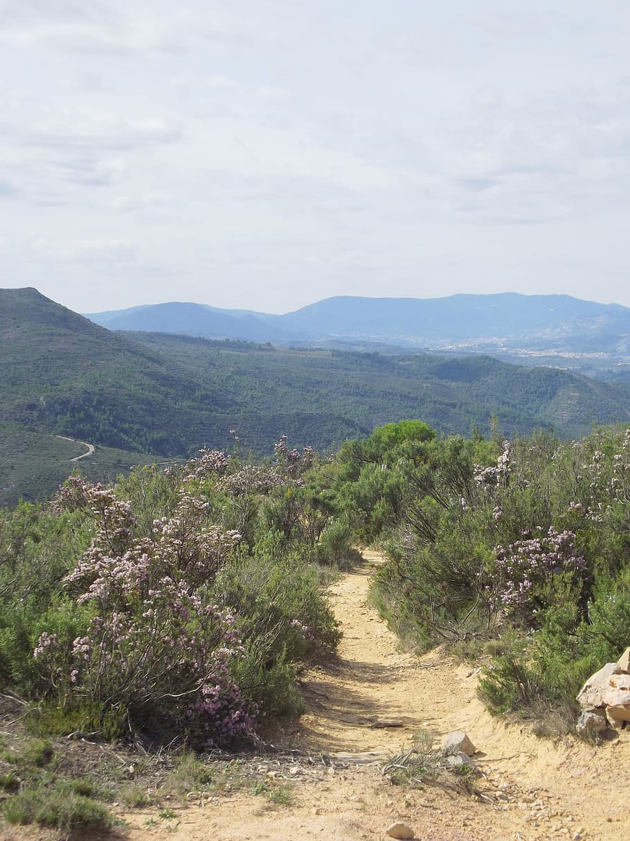 Mountain Trail, Mountain, Path, hiking trail, adventure, outdoors HD wallpaper