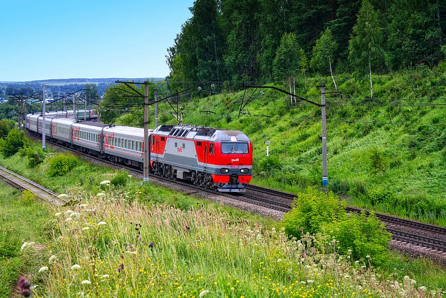 train, railway, trees, rail transportation, train - vehicle HD wallpaper