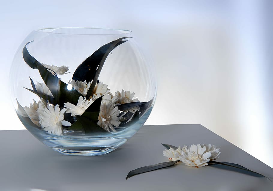 Ikebana, Daisy, Vase, nature, close-up, white, no People, glass - material HD wallpaper