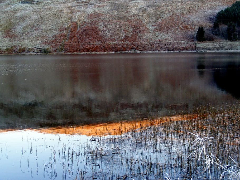Water, Sky, Sunset, Hills, Reeds, reflections, colour, orange HD wallpaper