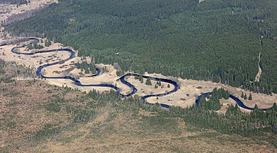meanders, vltava, šumava, river, forest, water, nature, mountain HD wallpaper