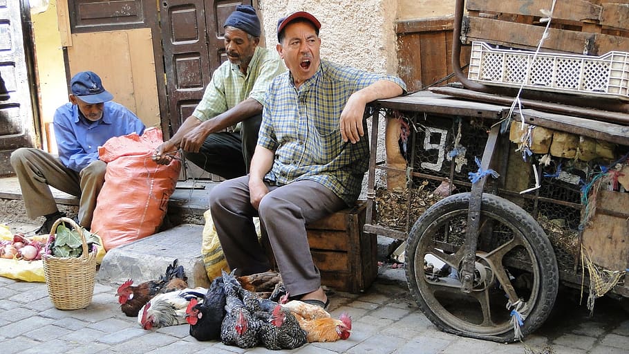 shop, morocco, souk, bazaar, sitting, adult, architecture, full length HD wallpaper