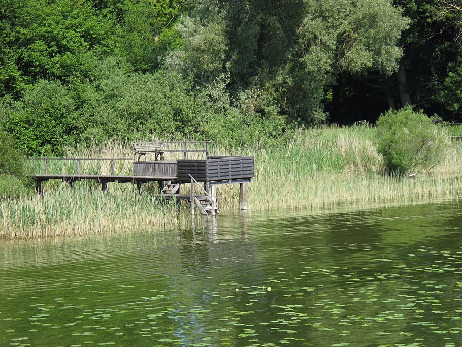 Web, Water, Lake, Nature, Landscape, boardwalk, reflection HD wallpaper