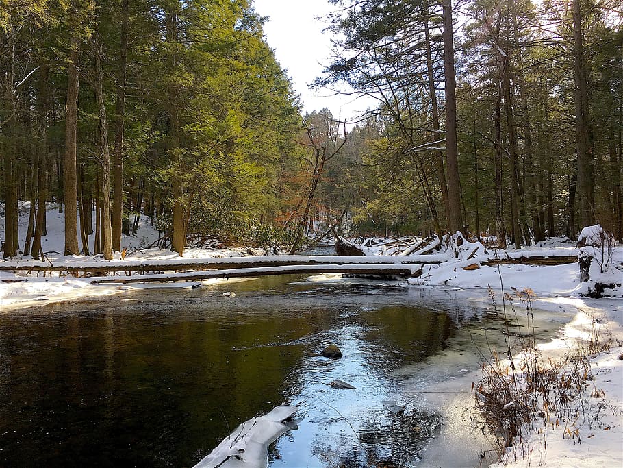 River, Winter, Snow, Landscape, Nature, ice, cold, season, outdoor HD wallpaper