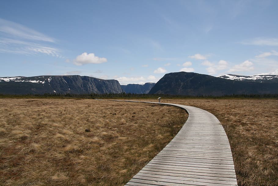 Newfoundland, Pathway, Landscape, Sky, nature, canada, trail HD wallpaper