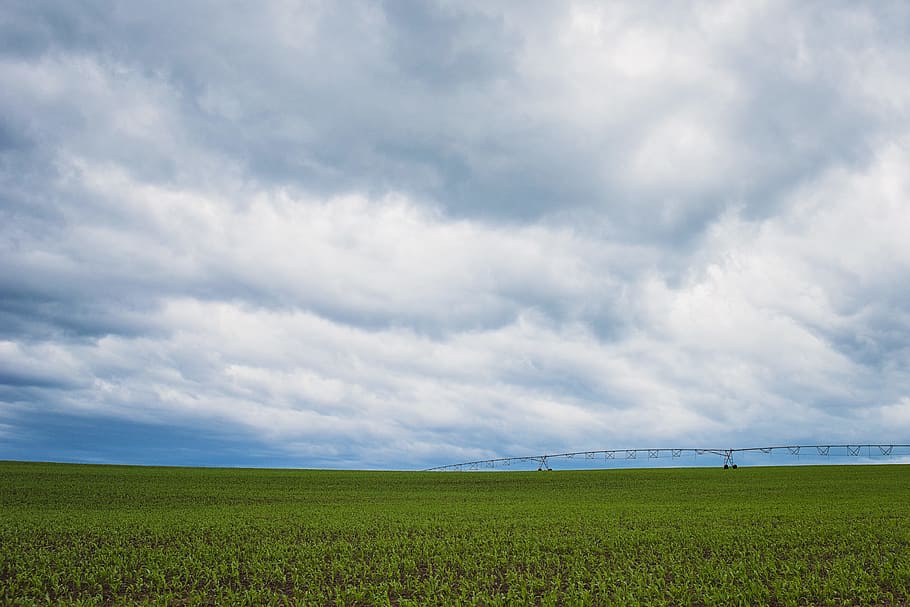 Green Grass Field Under Cumulonimbus Clouds, agriculture, bright HD wallpaper
