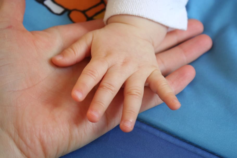 handle, hands, the hand, touch, love, tiny, child, tenderness HD wallpaper