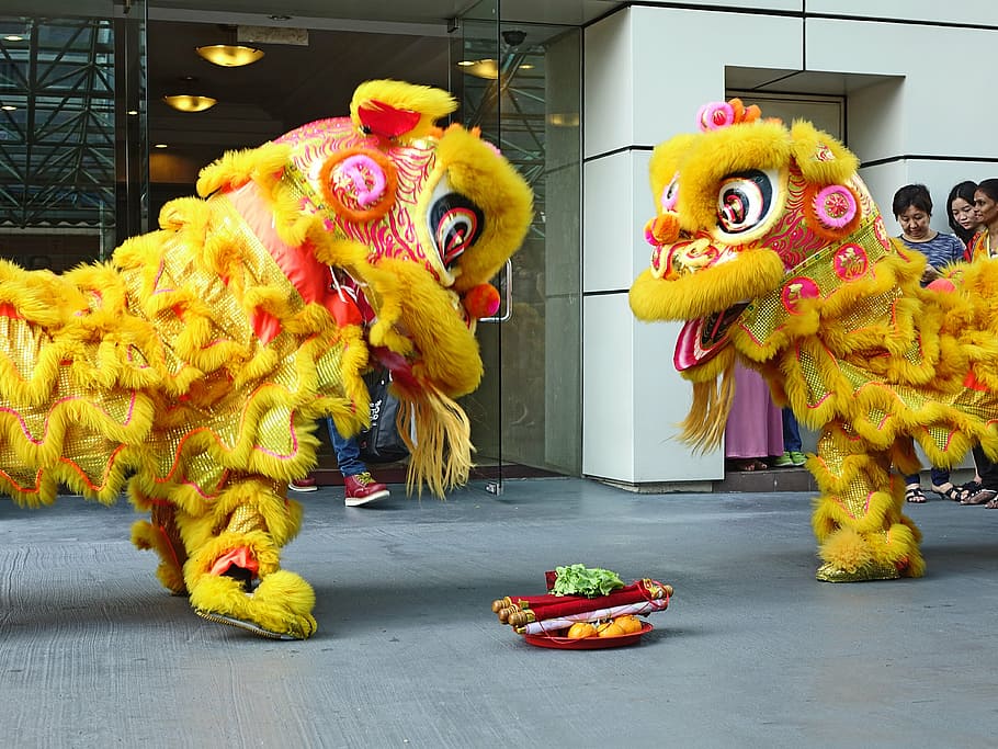 lion dance, chinese, tradition, new year, luck, dancing, asian, HD wallpaper