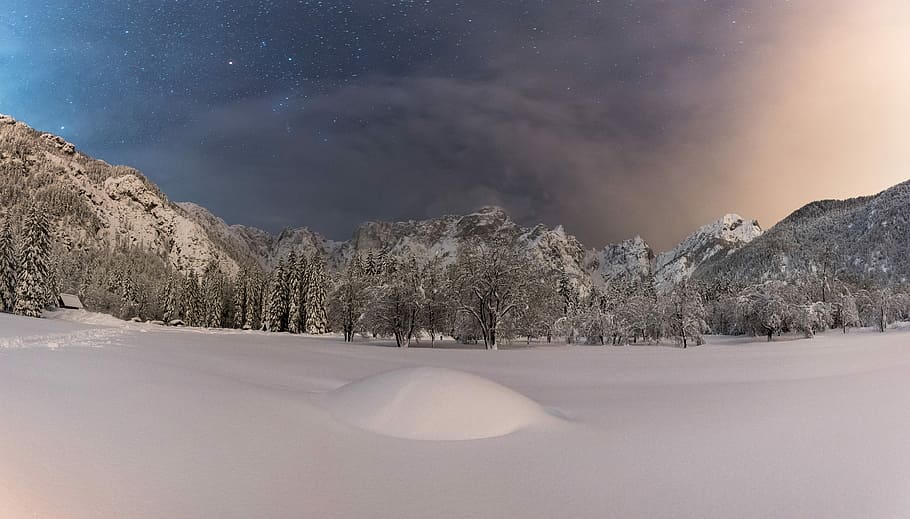 snowcapped mountain at daytime, landscape of snow covered trees HD wallpaper
