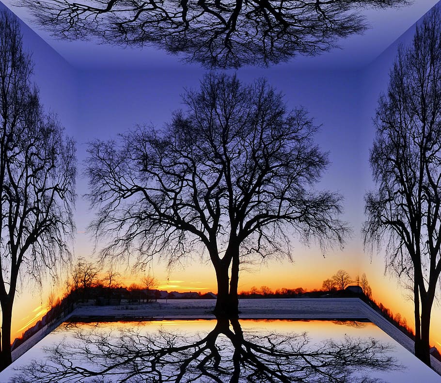 cube, trees, landscape, nature, sunset, sky, autumn, weeping willow HD wallpaper