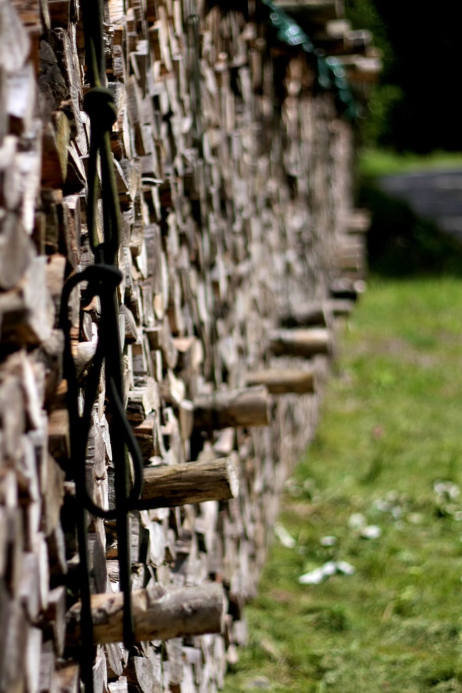 wood, forest, tree, nature, no people, day, selective focus HD wallpaper