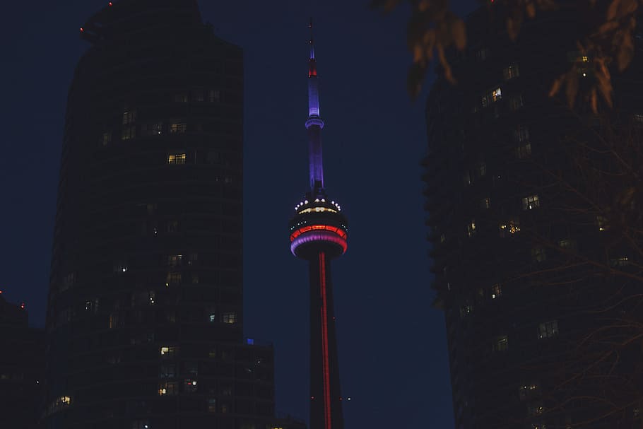 CN Tower at night., low angle photo of space shuttle, harbourfront, HD wallpaper