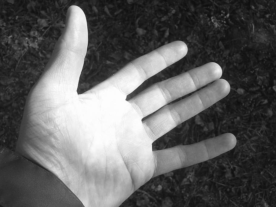 left hand, finger, human, open, give, human hand, human body part HD wallpaper