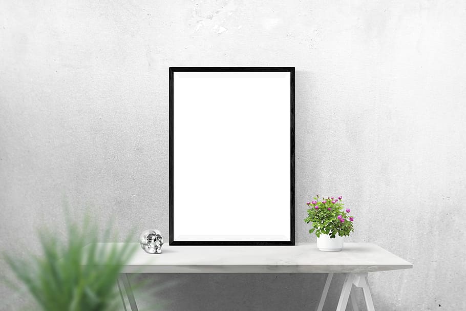 plain white canvas with black frame on table beside pink flowers, HD wallpaper