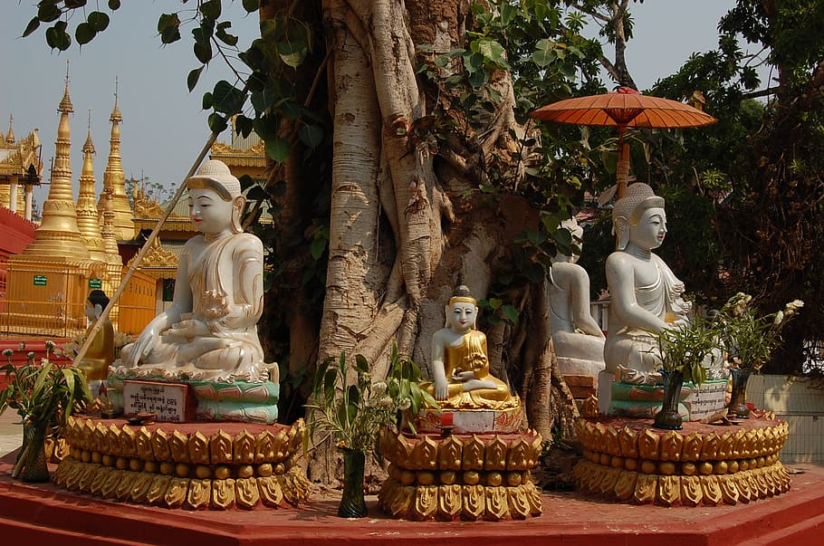 buddha, schwedaggon, burma, religion, belief, statue, sculpture HD wallpaper
