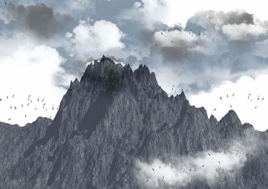 grayscale photo of mountain, brushes, background, clouds, birds HD wallpaper