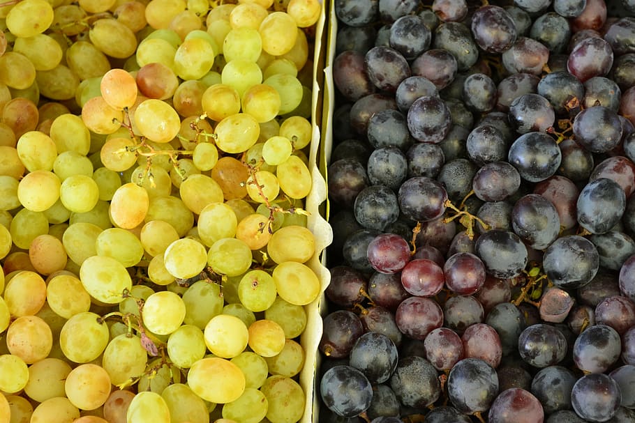 grapes, grape color, fruit, red, white, organic, food, food and drink HD wallpaper