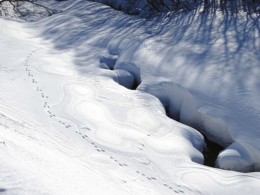 snow covered road with holse, forest, river, winter, stones HD wallpaper