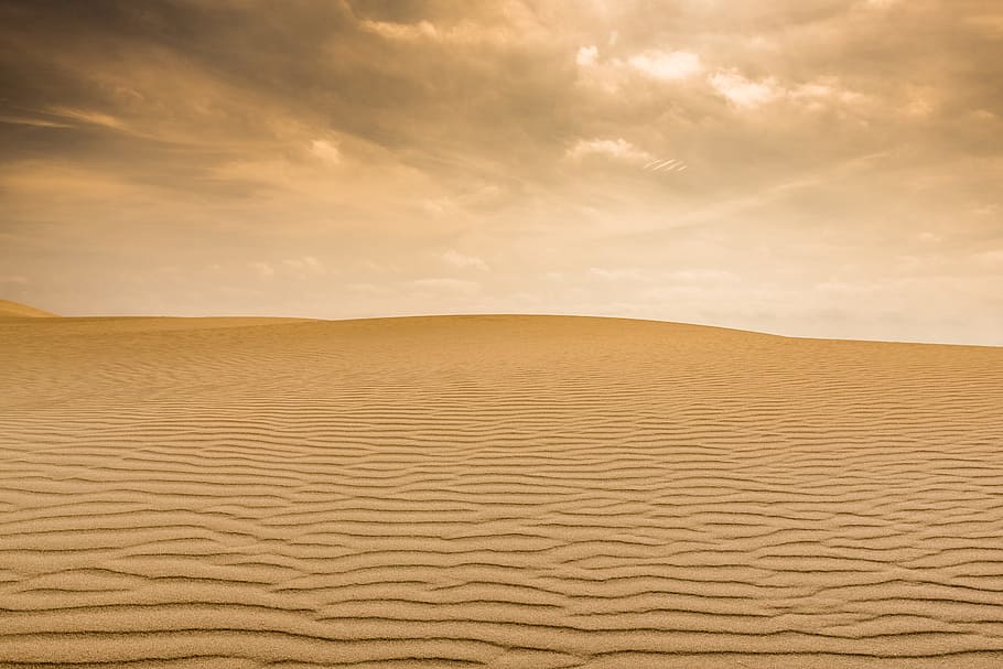 photo of desert field, desert under brown clouds during daytime