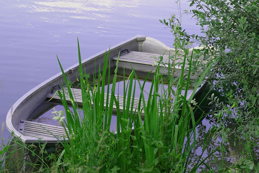 nature, grass, waters, summer, plant, lake, no people, growth HD wallpaper