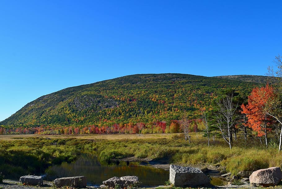 mountain, tree, pond, nature, landscape, water, sky, blue, forest HD wallpaper