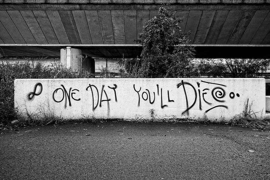 graffiti, text, wall, urban, lettering, words, grunge, lifestyle HD wallpaper