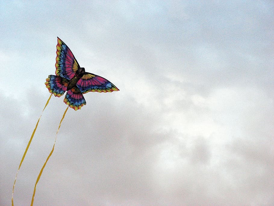 Kite, Clouds, Air, Fly, Fun, sky, joy, colorful, dom, one animal HD wallpaper