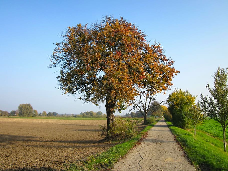 germany, fields, sky, clouds, landscape, road, fall, autumn HD wallpaper