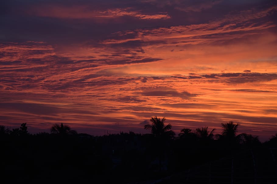 sky, cloud, sun, nature, landscape, sunset, summer, dawn, yellow HD wallpaper