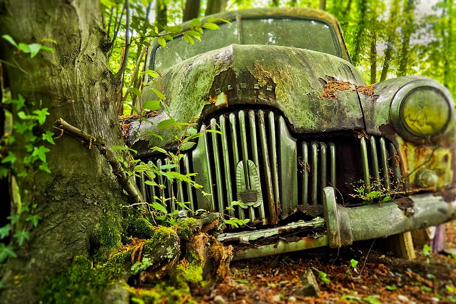 wrecked car behind tree, auto, car cemetery, oldtimer, rust, stainless karre