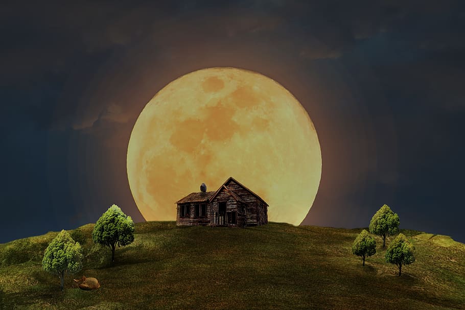 HD wallpaper: house and moon illustration, full moon, home, meadow, trees,  fuchs | Wallpaper Flare