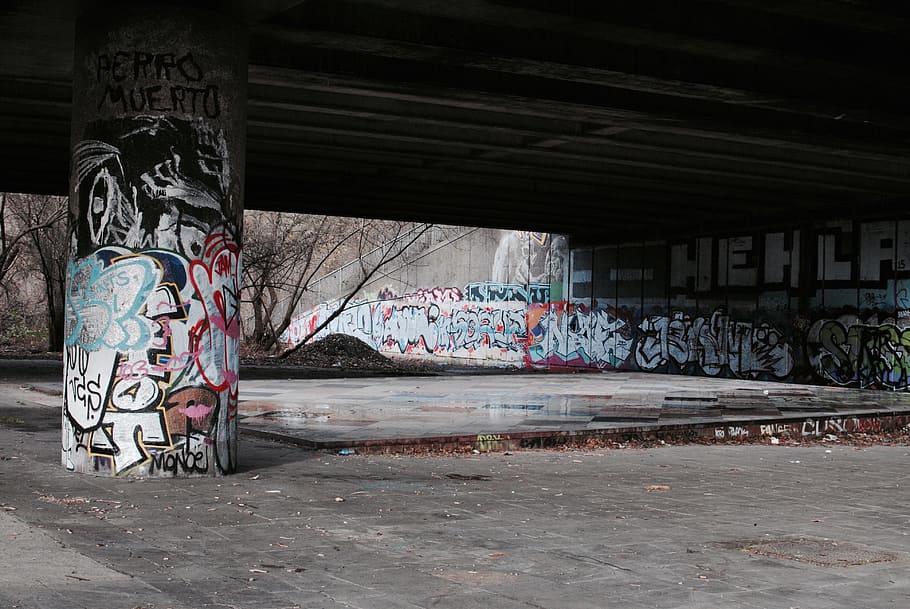 bare trees near graffiti wall, gray and multicolored graffiti wall HD wallpaper
