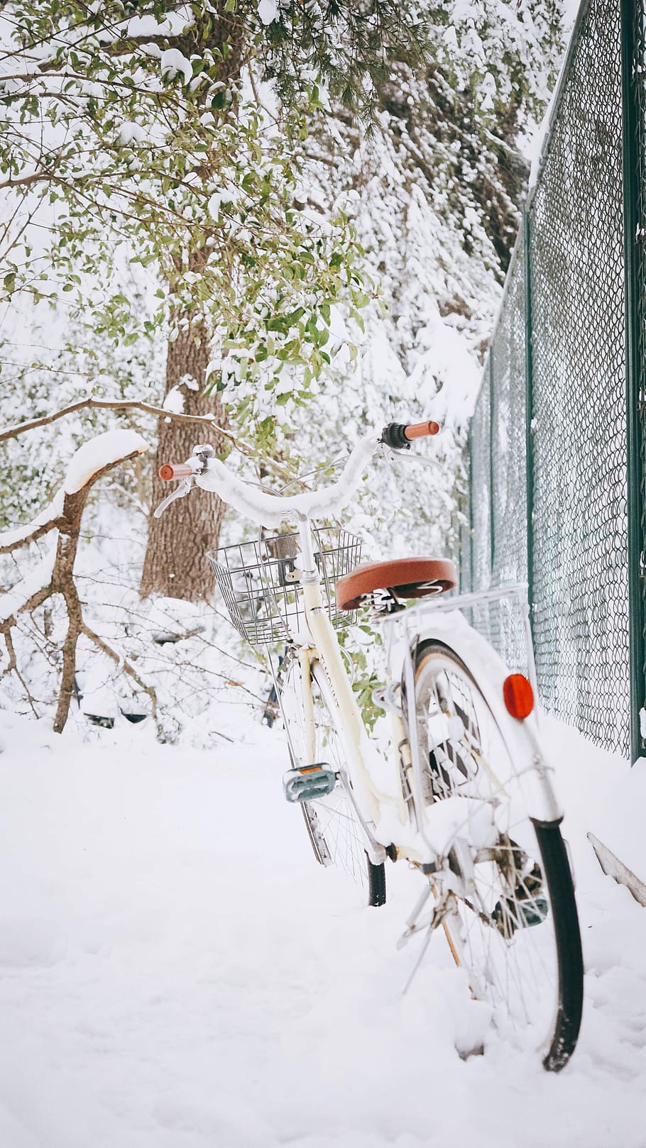 white and gray bicycle near green cyclone fence, white bicycle near green metal fence and tree at snowy daytime HD wallpaper