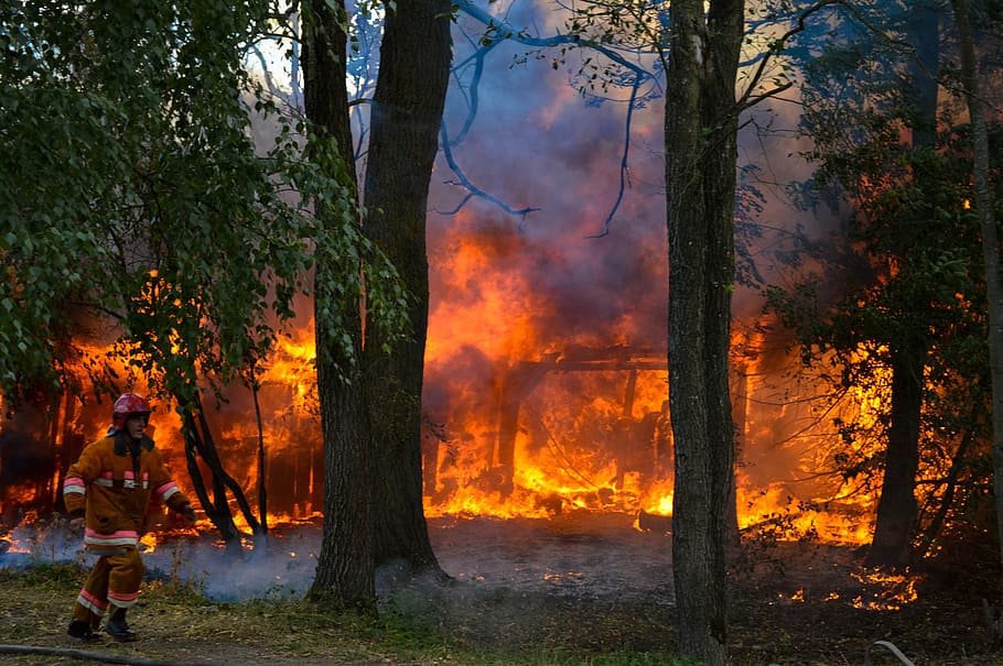 Fire, Hot, Firefighter, Trees, Burn, stew, flame, wood, flaming HD wallpaper