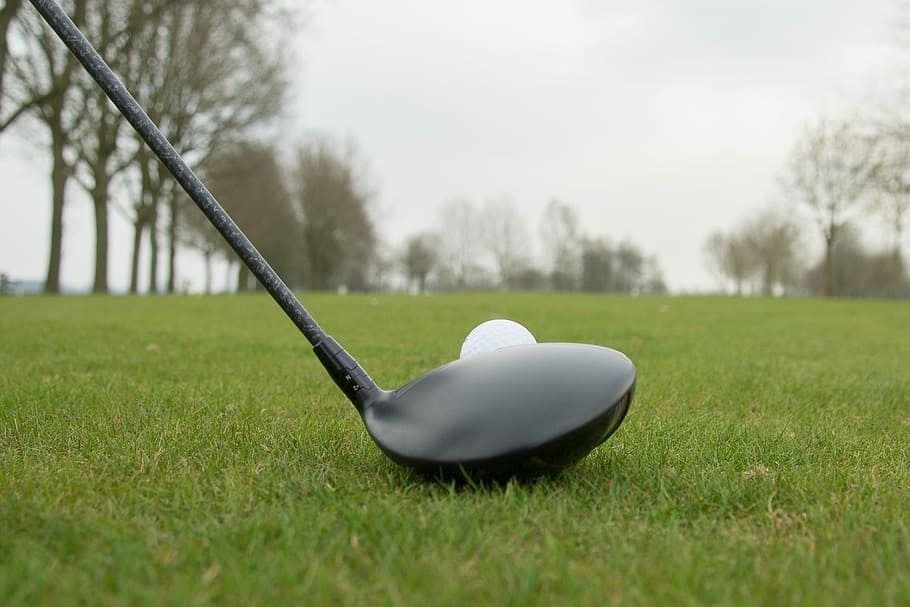 golf driver beside golf ball on green grass, sport, play, game