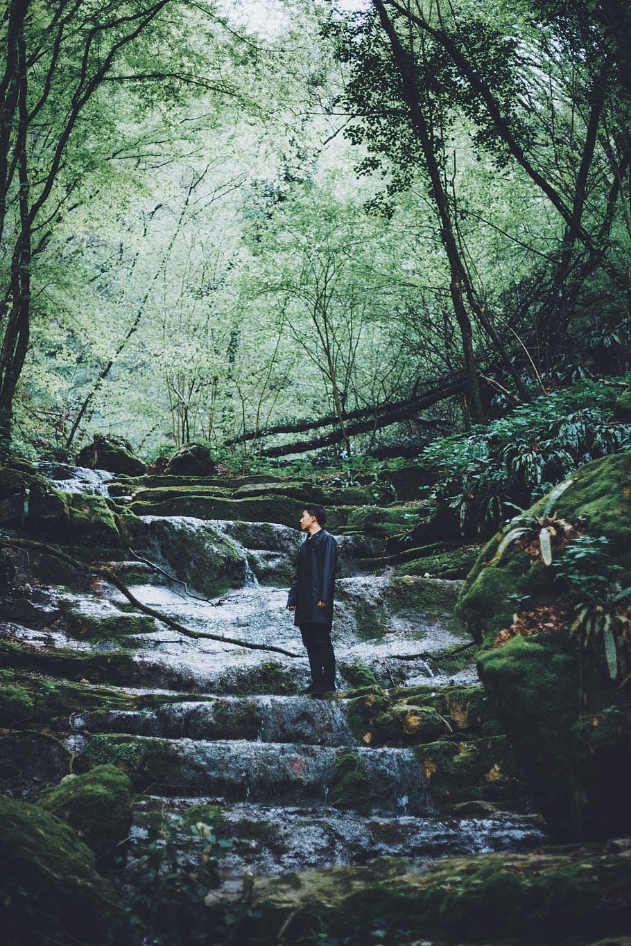 man in black blazer and black dress pants on stone during daytime, man wearing black raincoat standing on river surrounded by trees during daytime, HD wallpaper