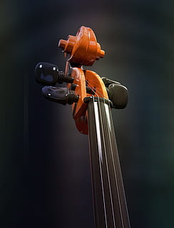 brown and black string guitar instrument, cello, strings, stringed instrument HD wallpaper