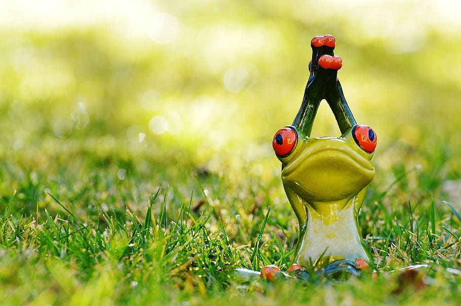 shallow focus photography of green ceramic toad figurine in grass field, HD wallpaper