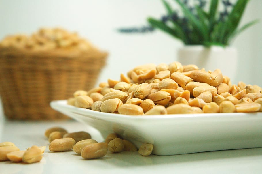 food, plate, nuts, peanuts, food and drink, wellbeing, healthy eating HD wallpaper