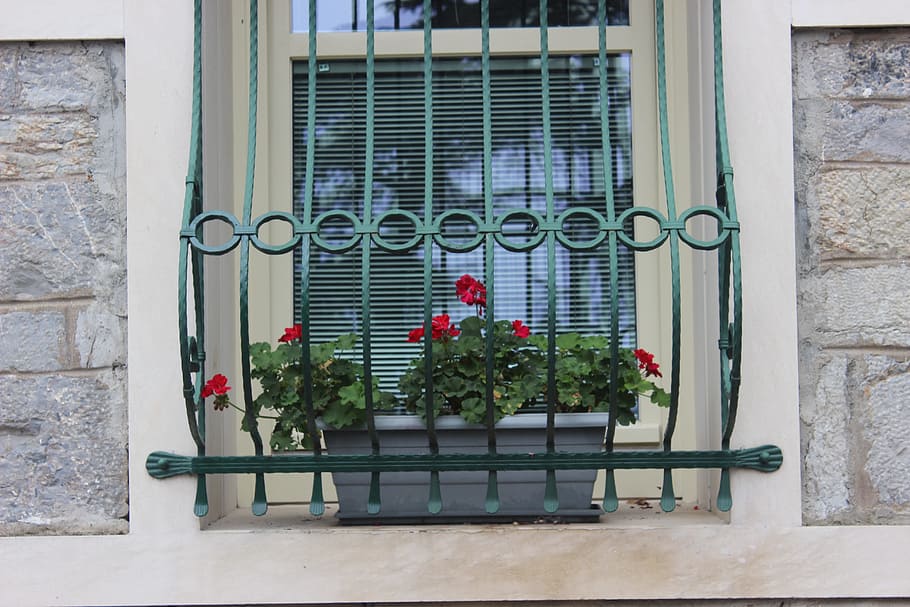 flower, red, window, istanbul, architecture, building exterior HD wallpaper