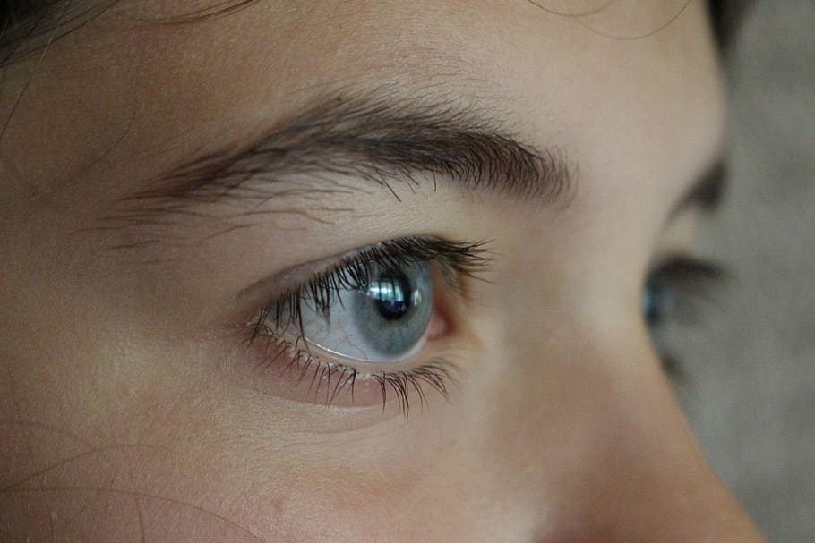 Eyes, Face, Head, View, Algae, lady, human eye, human body part HD wallpaper