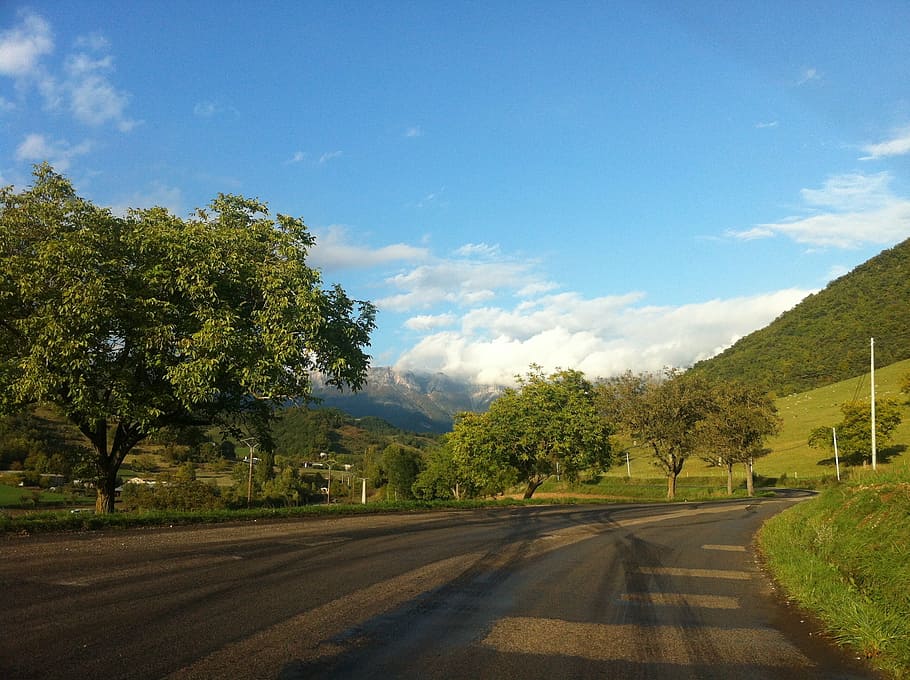 road, holiday, mountain, tree, plant, sky, cloud - sky, transportation HD wallpaper