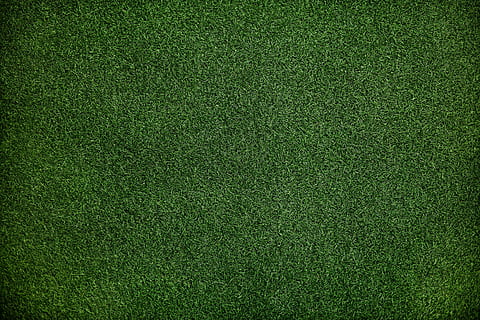 green grass, fabric, pattern, desktop, luxury, abstract, backdrop HD wallpaper