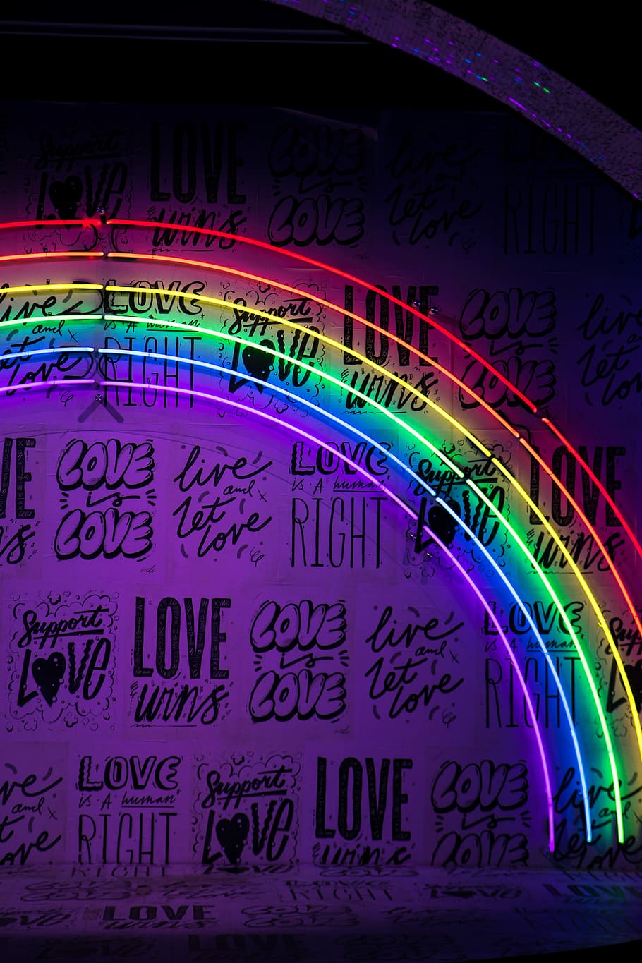 Hd Wallpaper Assorted Color Led Lights Rainbow Neon Light Wall Decor Typography Wallpaper Flare