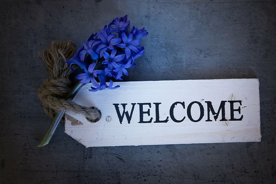 HD wallpaper: white Welcome signage decor, hyacinth, flower, blue, blue  flower | Wallpaper Flare