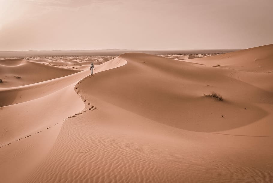 person walking on desert, person walking on top of brown sand dunes during daytime HD wallpaper