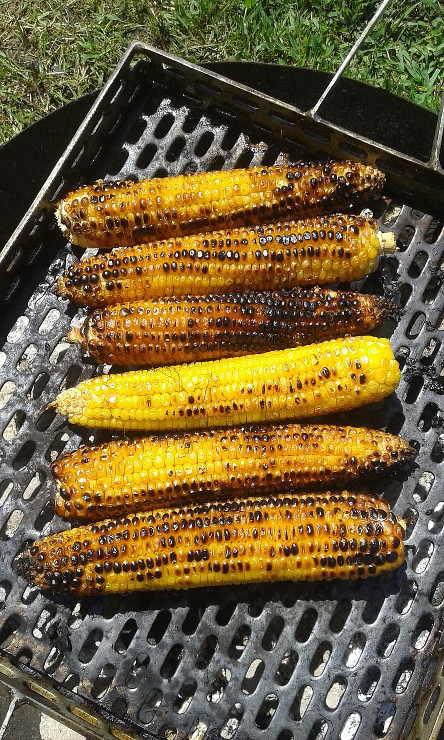 corn, grill, yellow, food, grilled, barbecue, bbq, vegetable HD wallpaper