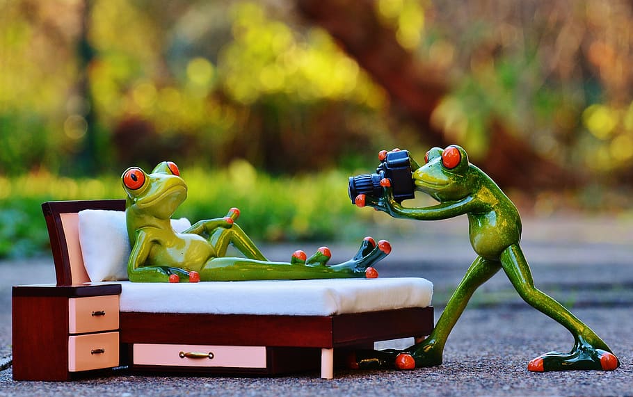 focus photography of two red-eyed frog taking picture figurines, HD wallpaper