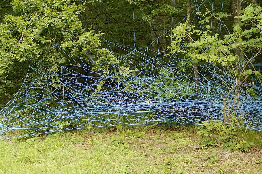 network, blue, branches, lavizzara, entangled, structure, texture HD wallpaper