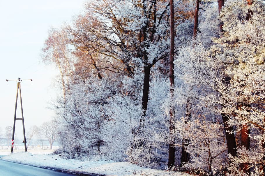 strommast, road, wintry, winter, landscape, snow, snowy, winter magic HD wallpaper